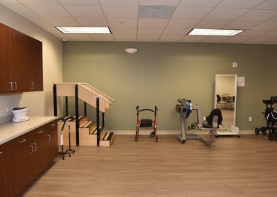 Occupational and Physical Therapy Suite